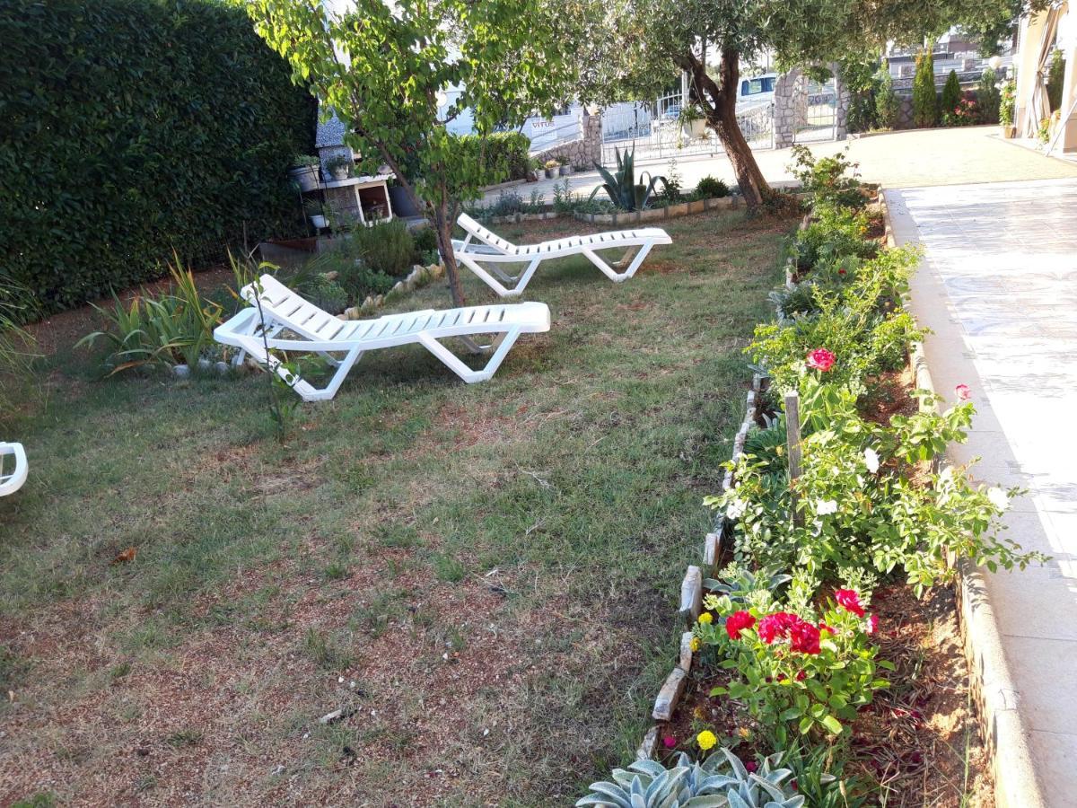 Hostel Marinus Sveti Vid-Miholjice Εξωτερικό φωτογραφία