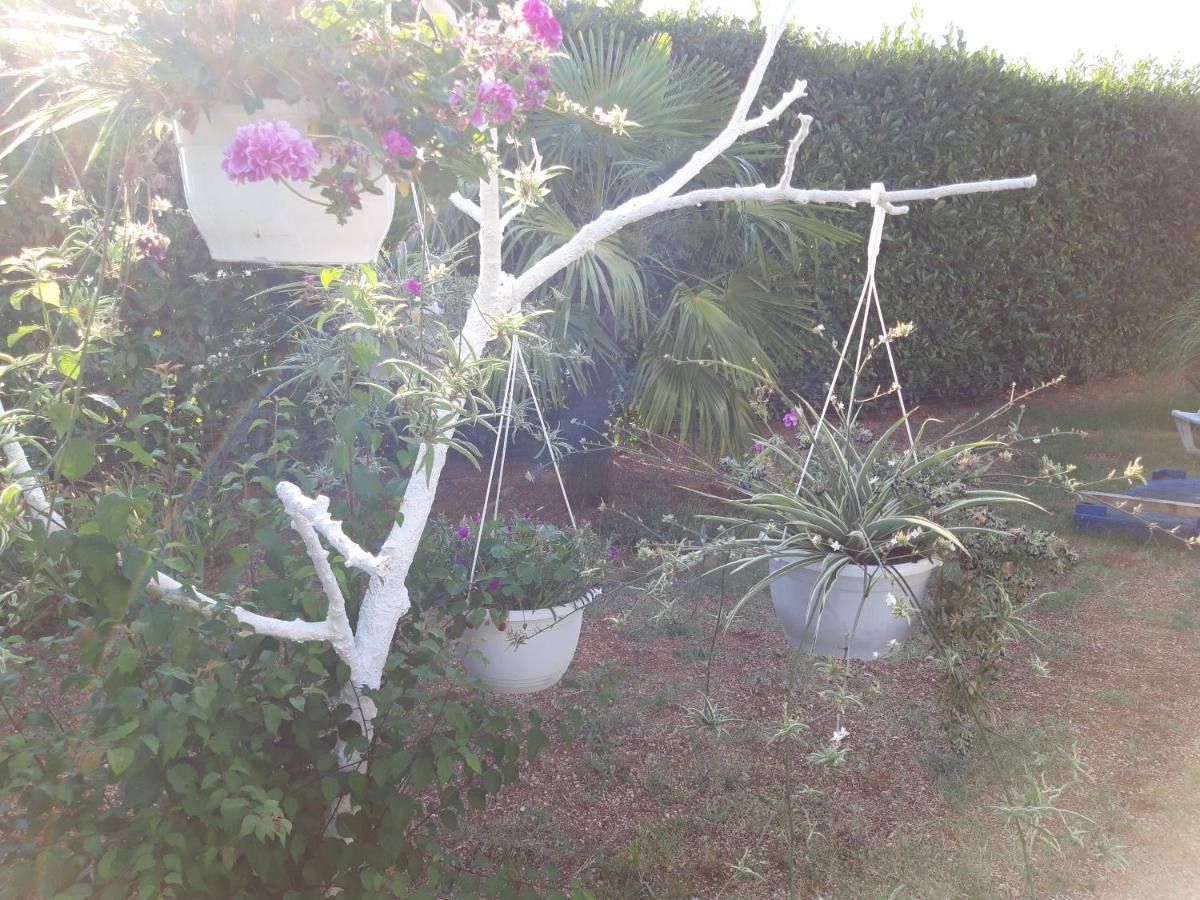 Hostel Marinus Sveti Vid-Miholjice Εξωτερικό φωτογραφία